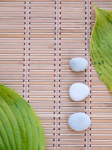 Två gröna blad och tre vita stenar på den bambu mattan — Stockfoto