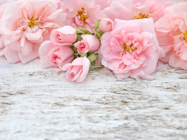 Розовые розы и бутоны букет на деревенском белом окрашены backgrou — стоковое фото