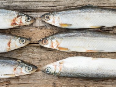 Gri ahşap tahta üzerinde vendace balıklar