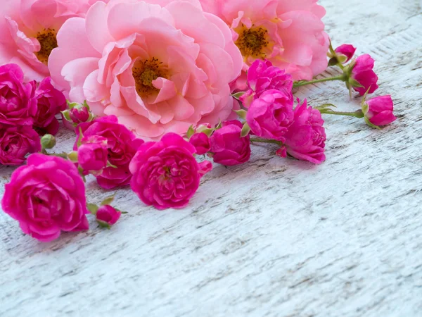 Розовые кудрявые розы и маленькие яркие розовые розы в углу — стоковое фото