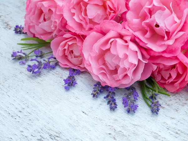 ピンクのバラと白の背景にラベンダー ブーケ — ストック写真