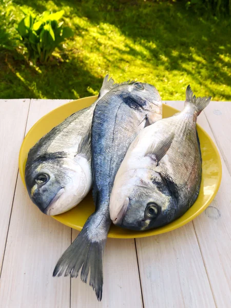 Trzy ryby dorado na płytce żółty — Zdjęcie stockowe