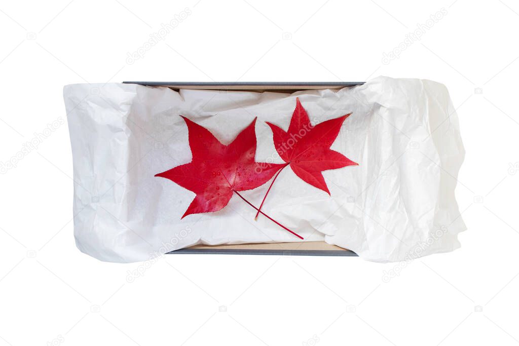 Opened shoes box with crumpled wrapping paper and red autumn leaves top view isolated on white