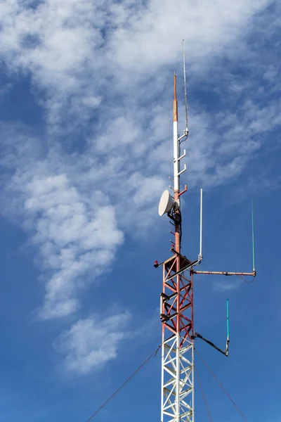 Antenna Parabolica Apparecchiature Comunicazione Sull Albero Mobile Torre Comunicazione — Foto Stock