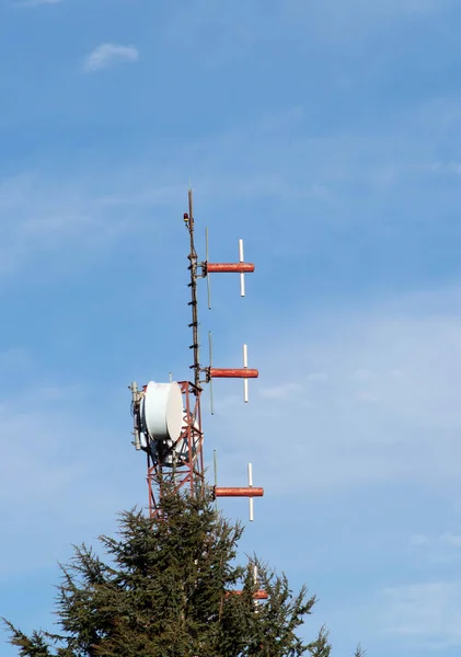 Albero Telecomunicazione Rosso Bianco Con Antenne Satellitari Abete Rosso Torre — Foto Stock