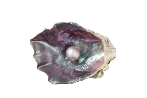 Perle Brillante Dans Coquille Huître Violet Irisé Isolé Sur Blanc — Photo