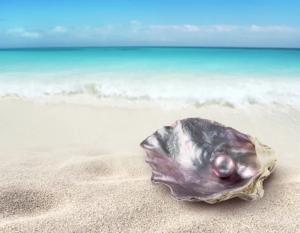 Shiny pearl in the purple iridescent oyster shell on the tropical paradise beach