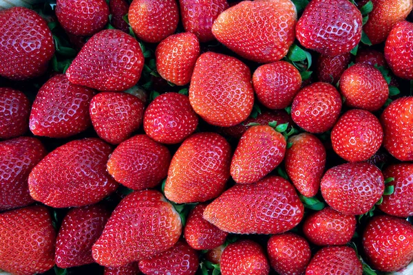 Fresas Rojas Maduras Alimento Específico Temporada Fondo Frutas — Foto de Stock