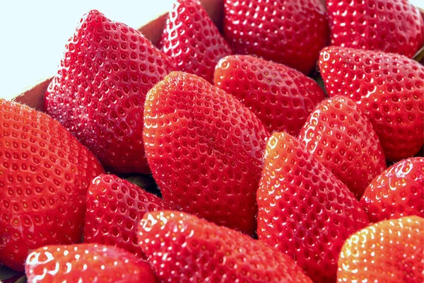 Fresas Rojas Maduras Alimento Específico Temporada — Foto de Stock