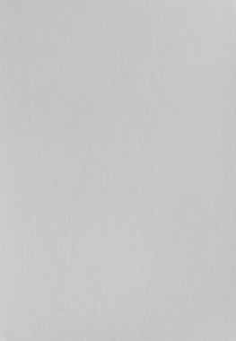 Tarafsız bir zemin üzerinde tuvale benzer desenli bir yüzeyi olan dikey boş suluboya kağıt. Sanat, modelleme, kırtasiye tasarımı, çizim ve yaratıcı sunumlar için ideal