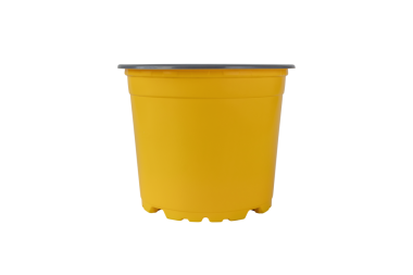 Stüdyoda çekilen parlak sarı plastik çiçek saksısı şeffaf png. Bahçe temaları, ürün listelemeleri, e-ticaret katalogları, reklam materyalleri ve iç veya dış dekorasyon kavramları için mükemmel..