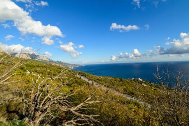 Akdeniz kıyıları.