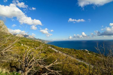 Güzel deniz manzarası