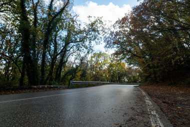 Ormandaki yolun güzel manzarası