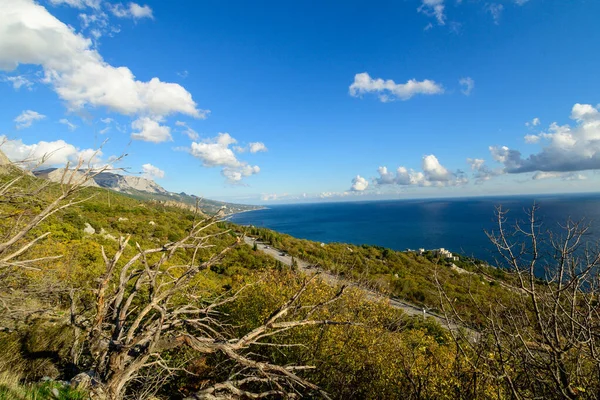 Akdeniz kıyıları.