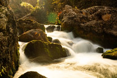 Karpat Ormanında Şelale