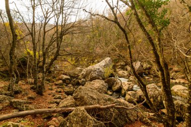 Beton adasının güzel manzarası