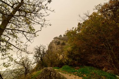 Bir ağaç ve bir dağ ile sonbahar manzarası