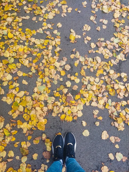 Sarı Sonbahar Yapraklarıyla Asfalt Üzerinde Ayaklar