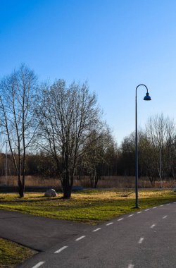 Crossroads of Paved Paths with a Streetlight