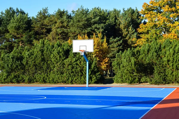 Sonbahar Park Ayarları 'nda canlı Mavi ve Kırmızı Açık Hava Basketbol Sahası