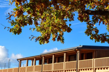 Güz Meşesi Yaprakları ve Mavi Gök tarafından Çerçevelenen Ahşap Bina