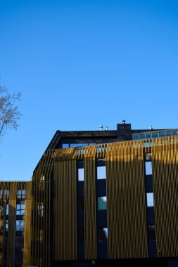 Mavi Gökyüzüne Karşı Altın Dikey Kayışlarla Çarpıcı Modern Görüntü