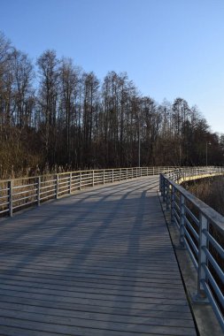 Sunrise 'da Manzaralı Bataklık Parkı' nda Tahta Saha Yolu