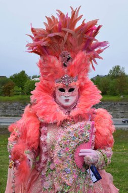 Tüylü Pembe Maskeli Balo Kostümü ve Açık Hava Festivali 'nde Süslü Hayranlar