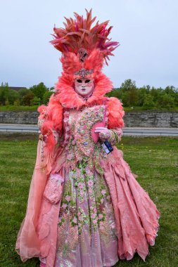 Tüylü Pembe Maskeli Balo Kostümü ve Açık Hava Festivali 'nde Süslü Hayranlar