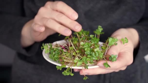 Close Mão Uma Mulher Tocando Microgreens Frescos — Vídeo de Stock