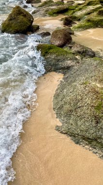 Large sea rocks covered in green algae are washed by the waves against a backdrop of yellow sand. A coastal landscape of a tropical sea.
