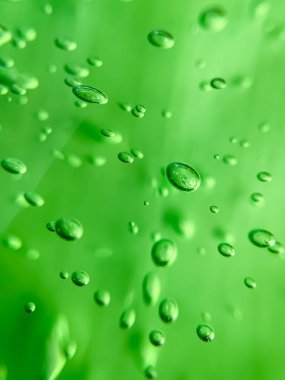 Yeşil aloe vera kozmetik jelin baloncuklu makro fotoğrafı. Cilt bakımı, spa, nemlendirici ve doğal ürün kavramları için uygundur..
