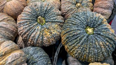 Markette geniş, topak topak Fak tanga kabakları, kalın, yeşilimsi kahverengi bir teni var. Bu egzotik kavunlar Asya mutfağında popülerdir..