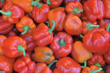 Bir çiftçi pazarında kırmızı biber sergileniyor.