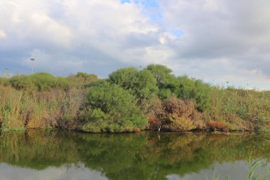 İlkbaharda nehrin taşkın ovasında nehir manzarası.