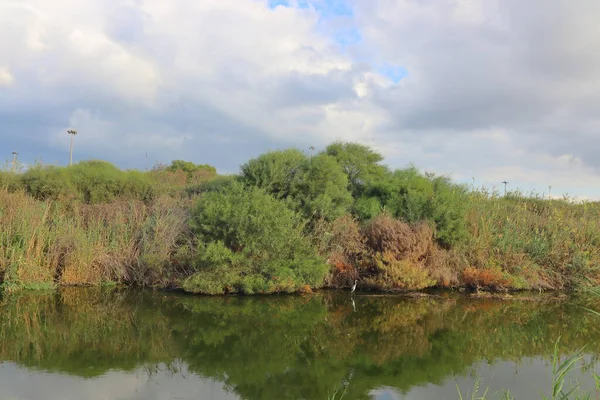 İlkbaharda nehrin taşkın ovasında nehir manzarası.