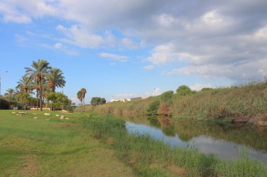 Nehir manzarası, palmiye ağaçları ve İsrail 'de mavi bulutlu gökyüzü.