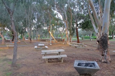 Batı Avustralya, Perth 'te bir parkta bank ve masalarla park et.