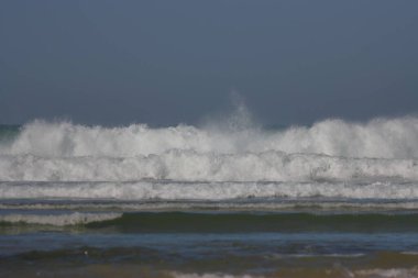Hint Okyanusu 'ndaki Ranthambore sahilinde büyük bir dalga