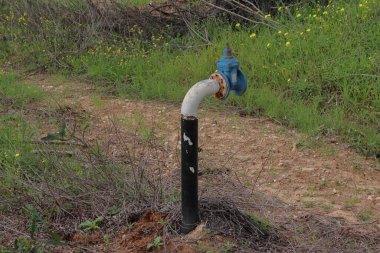 Kırsalda yerde mavi valfli eski paslı su borusu.