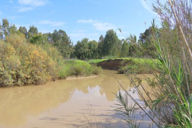 Nehir, nehir, sel, taşkın ovası, atık su, dere, dere