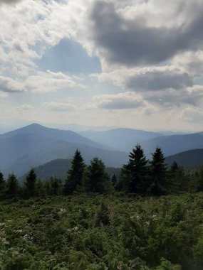 a view of a beautiful landscape with a mountain range. and there are clouds above Goverla