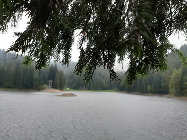 Synevyr Gölü 'nün güzel manzarası