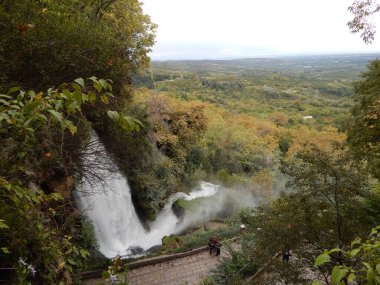 Ormanda güzel bir şelale.