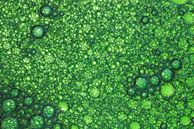 Hava kabarcıklı yeşil desenli köpük yüzeyinin Macro Fotoğrafı. Froth Yapısı Üst Görünümü. Şeffaf Sabun köpüğünün Soyut Arkaplanı.
