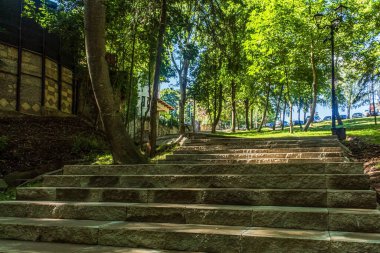Önünde ağaçlar ve güneş olan bir parka merdiven.