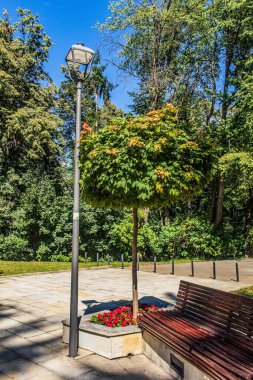 Yazın güzel bir park.