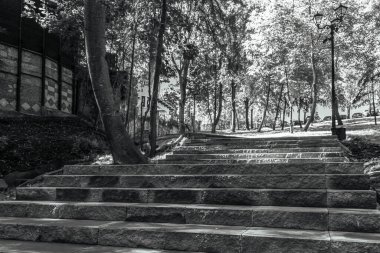 Şehrin en güzel parkı.