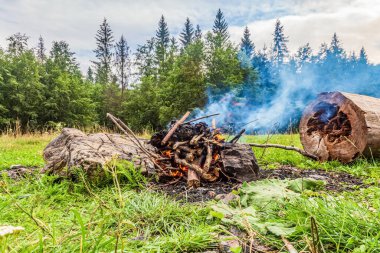 burning bonfire on the forest meadow